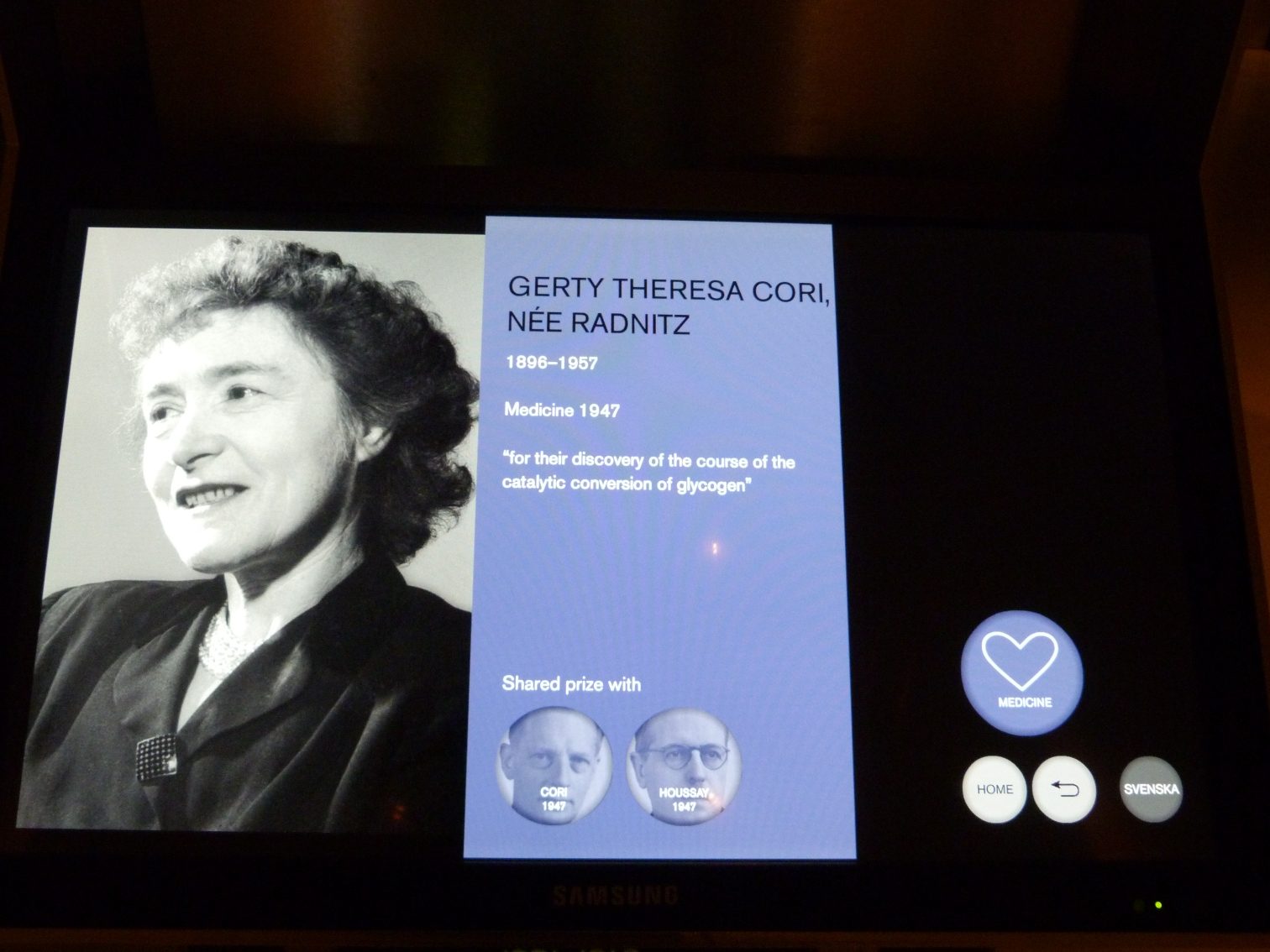 Gerty Theresa Cori's memorial, Nobel Museum, Stockholm by Estefania Etcheves.JPG